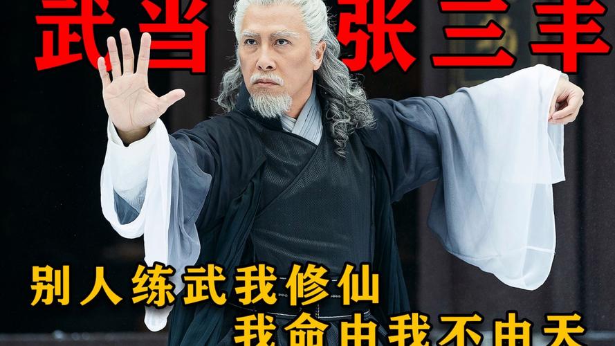 娱乐圈打架高手_打架遇到高手视频_打架很厉害的明星