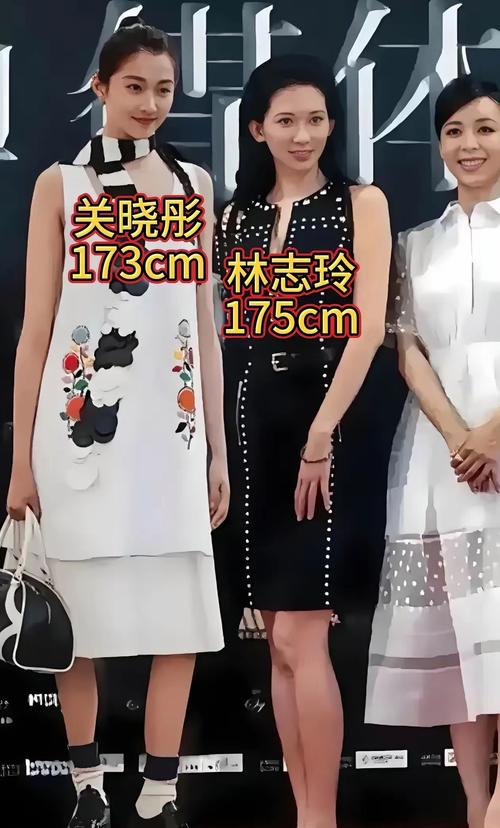 女明星为什么总爱谎报身高？真相揭秘